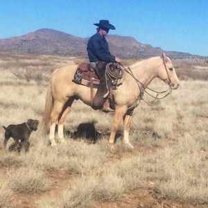 Meet your Posher, Russell